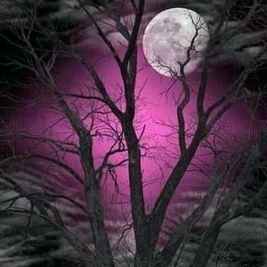 Meet your Posher, Fleur